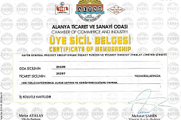 Turkish Chamber of Commerce and Industry. Certificate of membership.