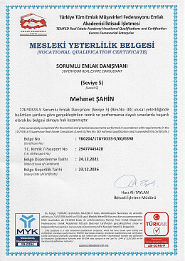 Certificate of professional qualification
